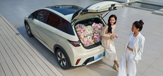 รุ่น 1.5L Displacement BYD Seal06 DM-i 120KM Leading Edition