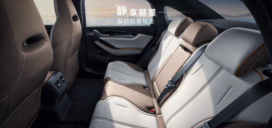 BYD Qin Plus DMI 102 กิโลเมตร Leading Glory Edition