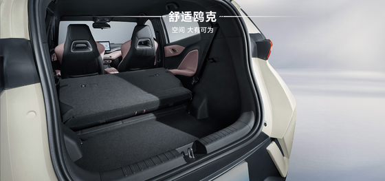 2025 BYD ไฮโอ 305KM